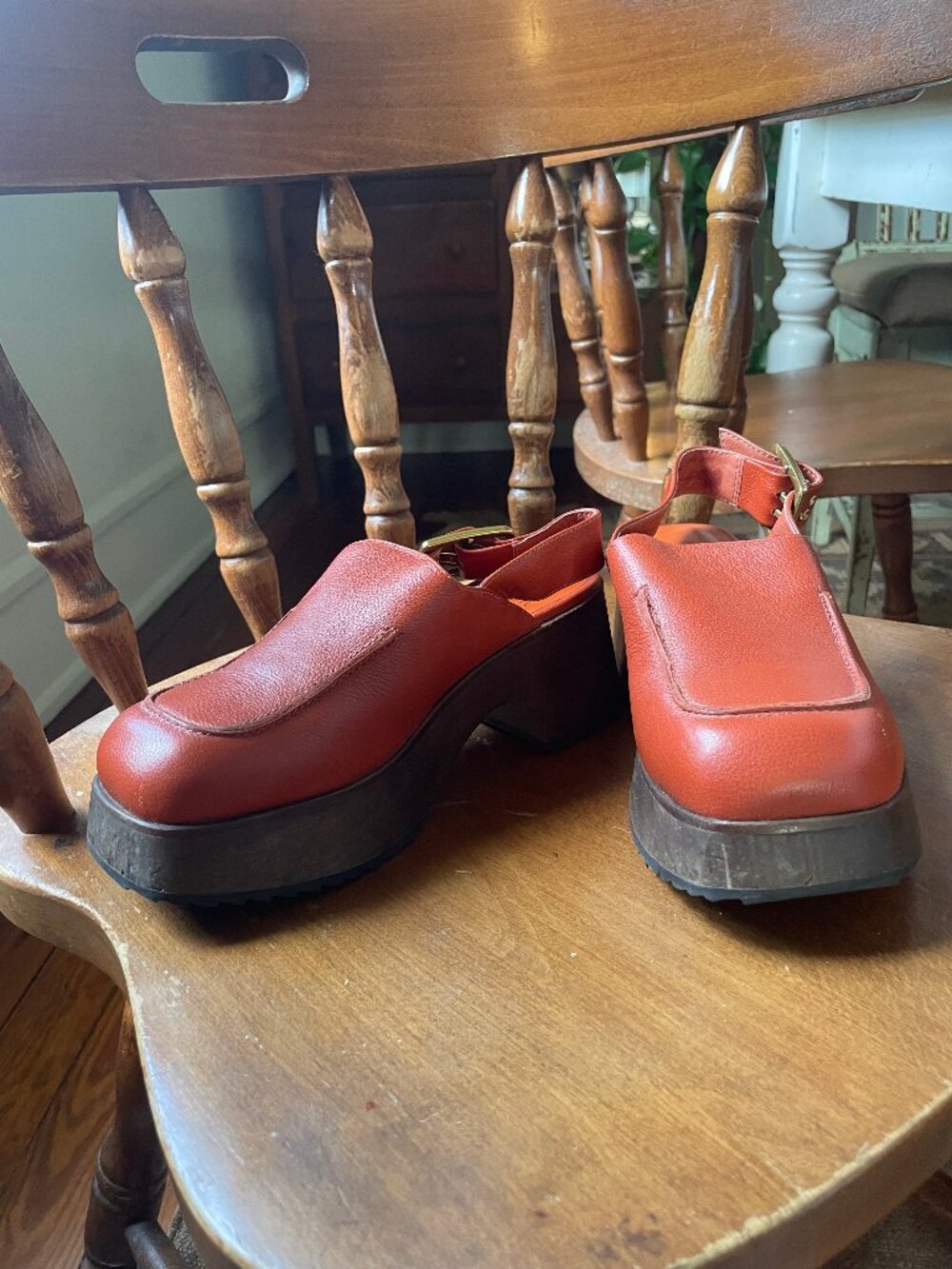 Charlotte Stone Carlos Clog Size 6 - Sienna Color - Fun, Funky, Bold